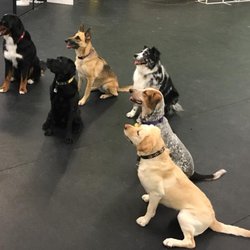 petsmart s rainbow blvd