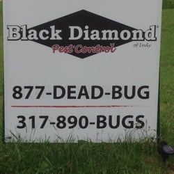 Photo of Black Diamond Of Indy Pest Control - Indianapolis, IN, United States. Pest Control Indianapolis Pest Control Indianapolis Photo of Black Diamond Of Indy Pest Control - Indianapolis, IN, United States.