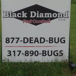 Pest Control Indianapolis  Photo of Black Diamond Of Indy Pest Control - Indianapolis, IN, United States.