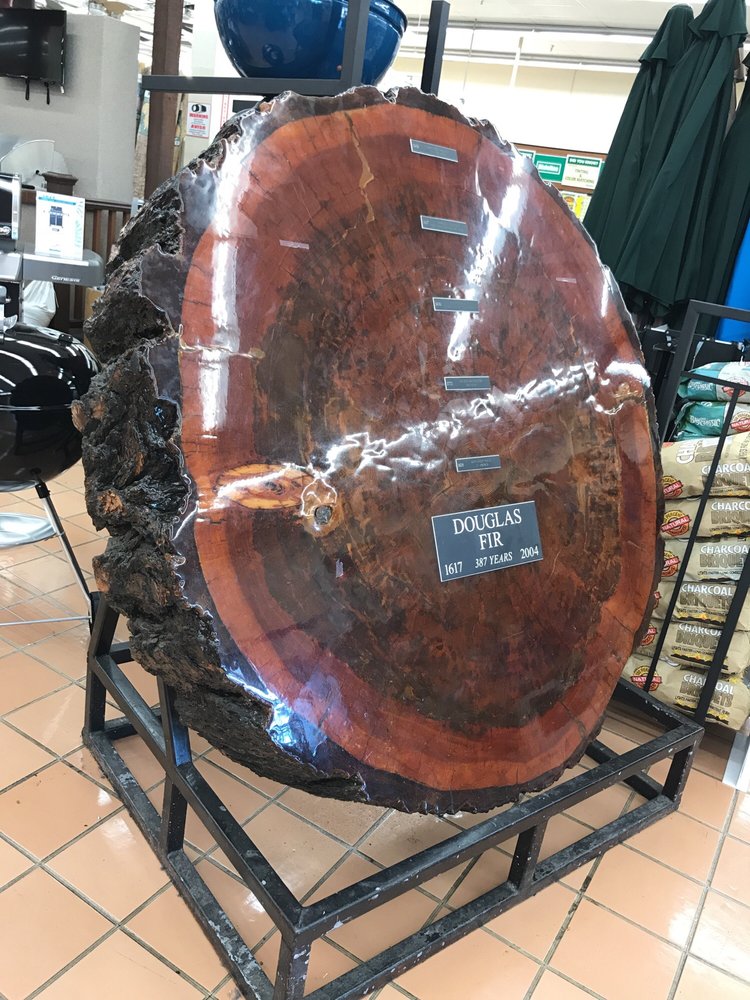 Dixieline Lumber & Home Centers 16 Reviews Hardware Stores 3450