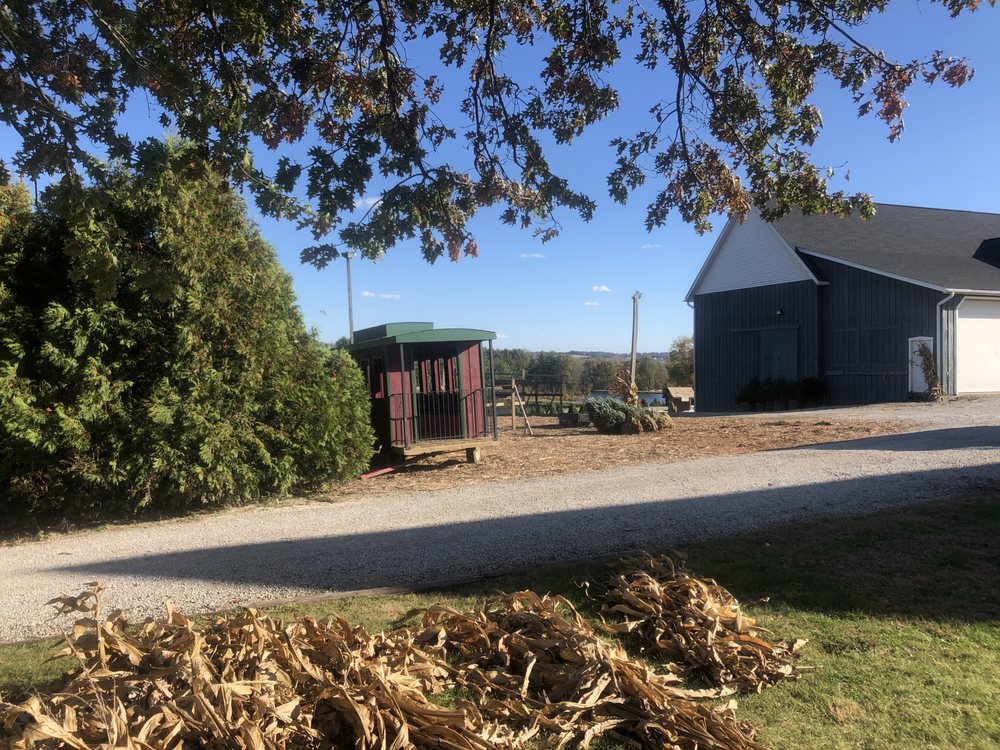 image of business Pine Tree Barn