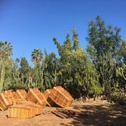 Photo of Exotica Rare Fruit Nursery - Vista, CA, United States