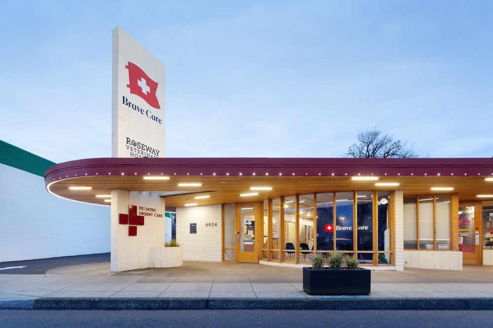 image of business Brave Care