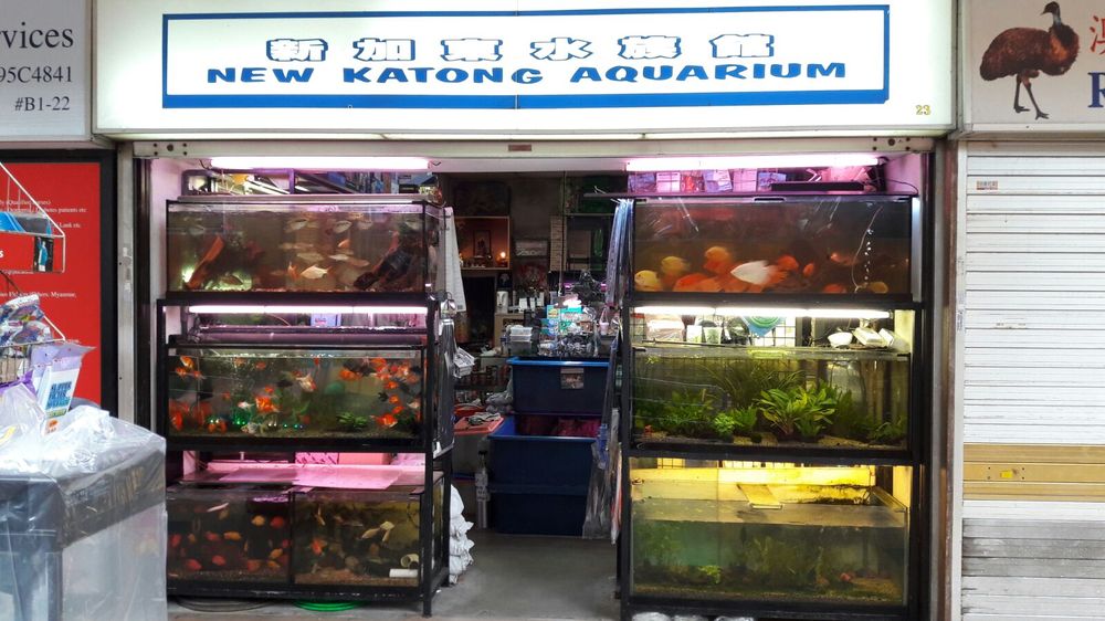 New Katong Aquarium Aquariums 865 Mountbatten Rd, Katong, Singapore