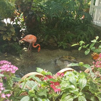 Coupon for butterfly conservatory key west