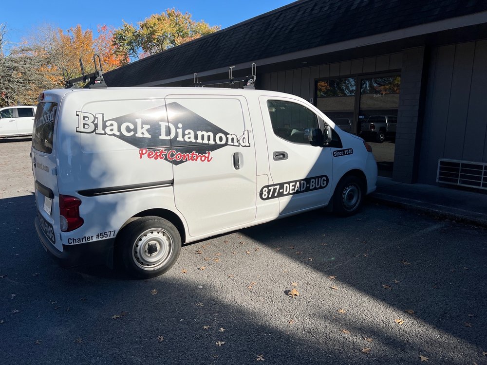 black Diamond pest control
