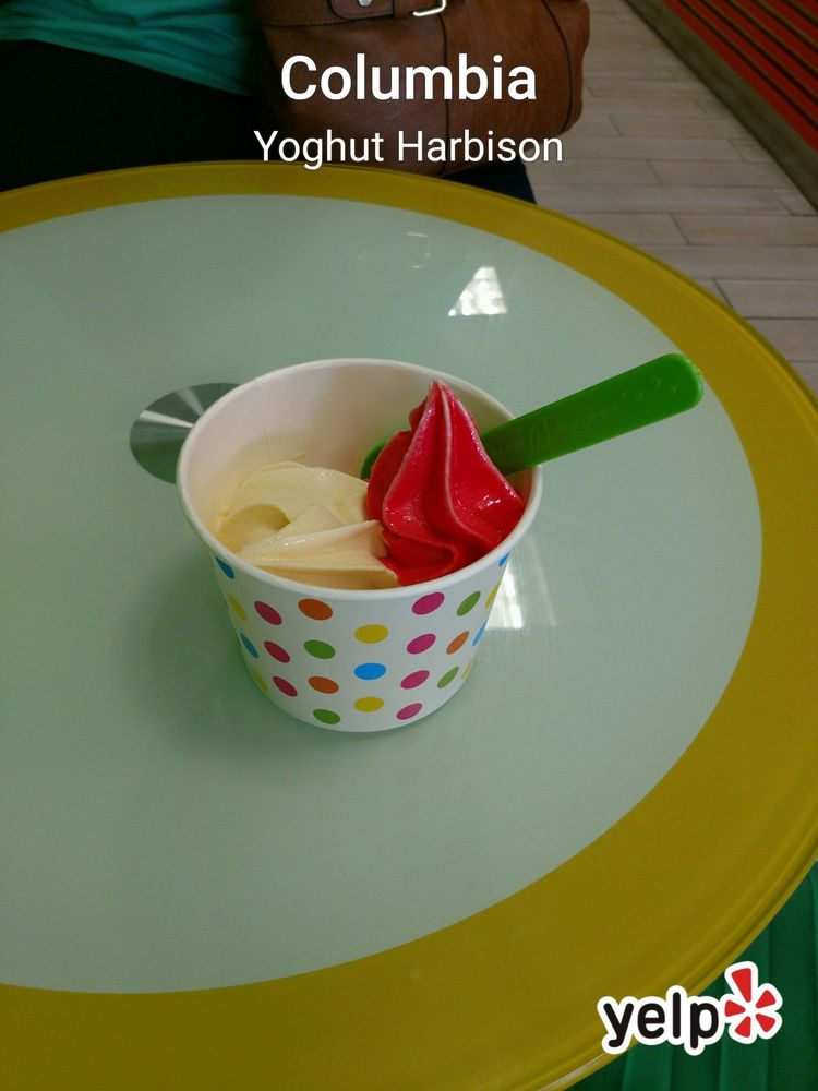 Yoghut Harbison CLOSED Ice Cream & Frozen Yogurt 252 Harbison