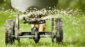 Clean Sweep Yard Care