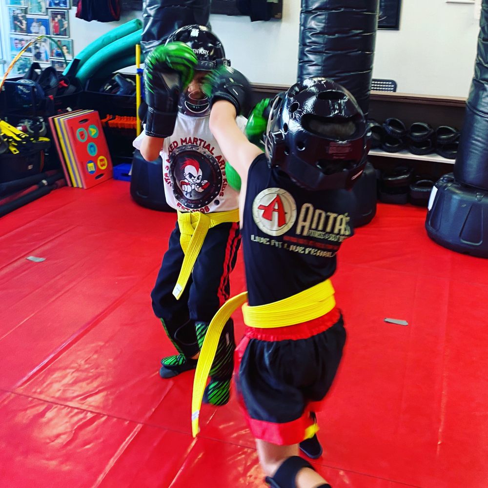 Anta's Fitness and Self Defense Image