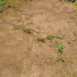 Top Turf Lawn Care And Pest Management 51 Photos 61 Reviews Photo Of Top Turf Lawn Care And Pest Management Lawrenceville Ga United States