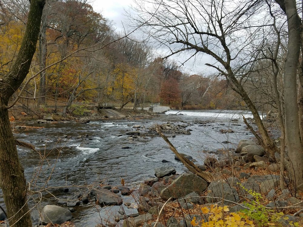 Brandywine Park 35 Photos & 13 Reviews Parks 1001 N Park Dr