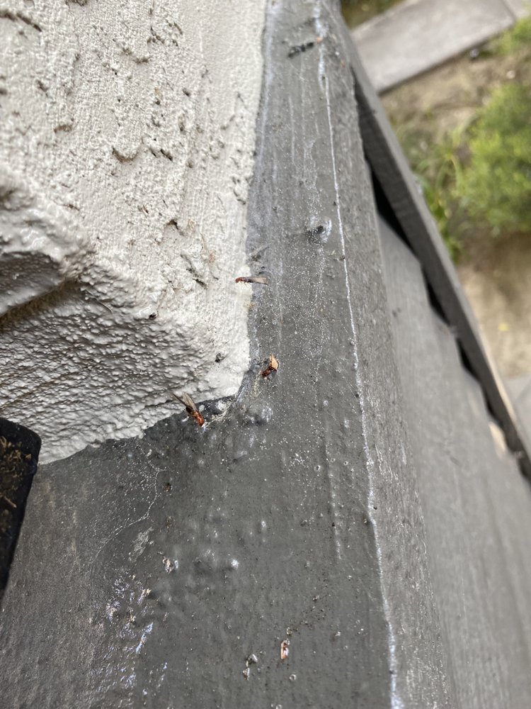 Lloyd Pest & Termite Control