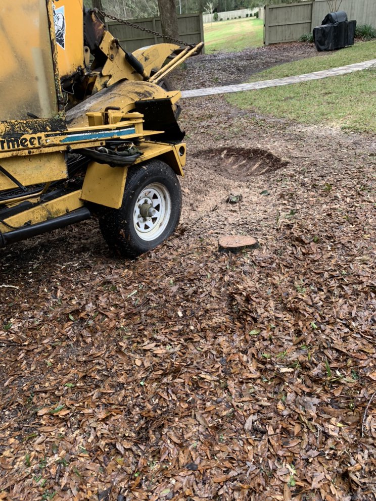 Batie's Tree Service