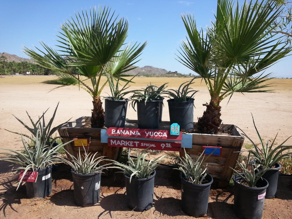 Distinctive Earthscapes at The Avocado Nursery 83 Photos Nurseries