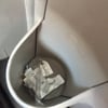 Ms