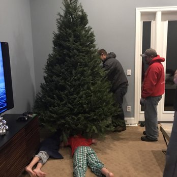 MJW Christmas Trees - 50 Photos & 22 Reviews - Christmas Trees Photo of MJW Christmas Trees - Kirkland, WA, United States - MJW Christmas Trees - 50 Photos & 22 Reviews - Christmas Trees