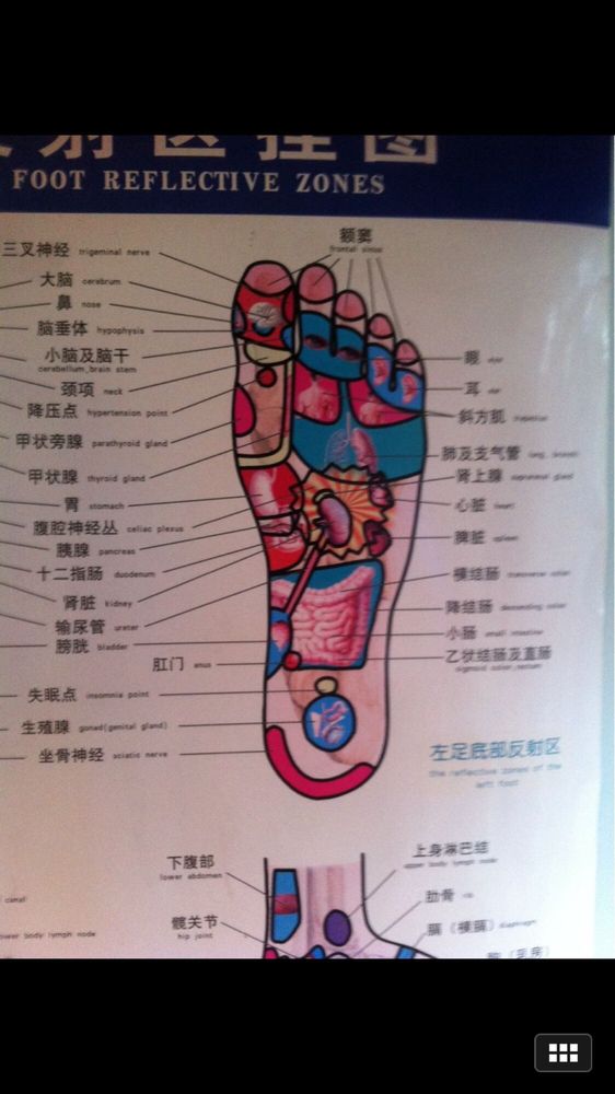 traditional chinese medicine reflexology chart yelp chinese reflexology chart