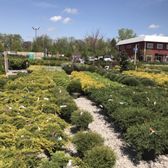 lurvey garden center & landscape supply photos