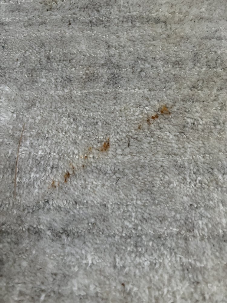 Rug Professionals