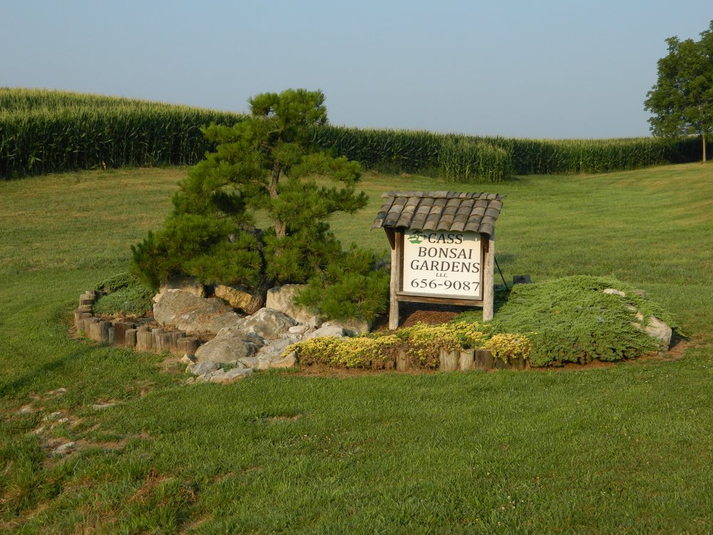 Cass Bonsai Gardens