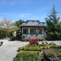 Green Point Nursery Nurseries Gardening 275 Olive Ave Photo Of Green Point Nursery Novato Ca United States
