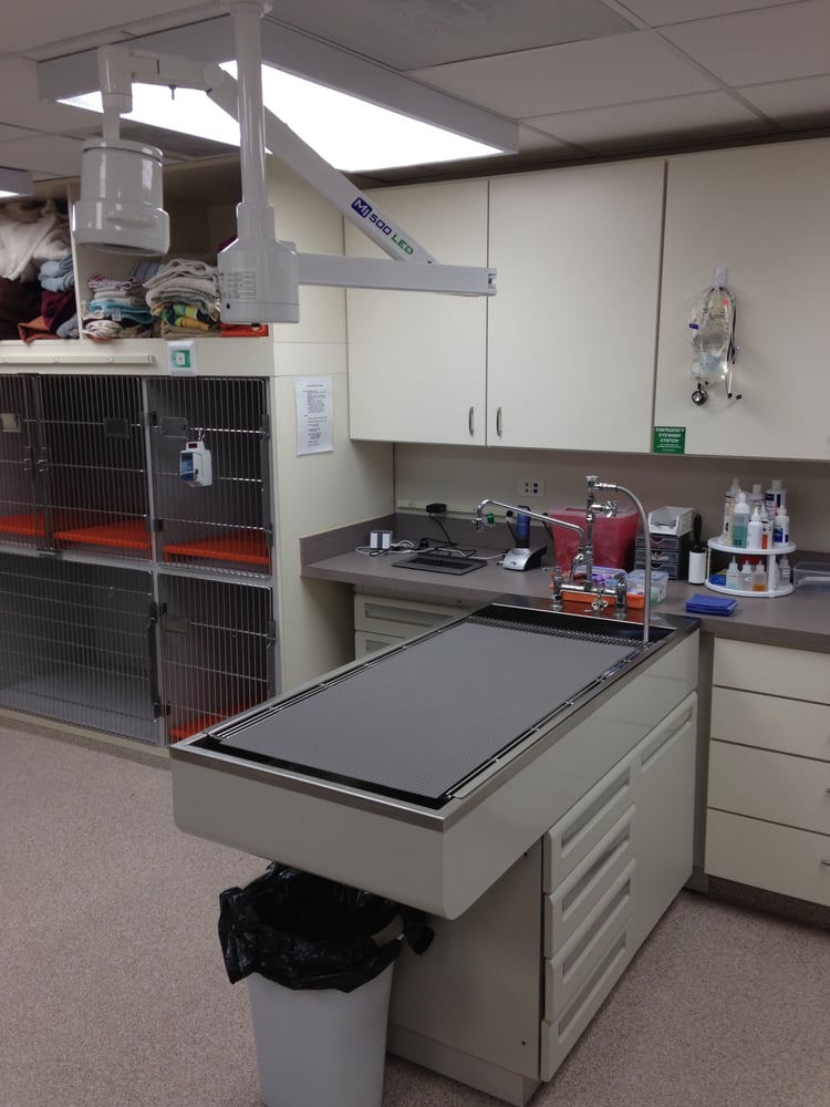 Shirlington Animal Hospital