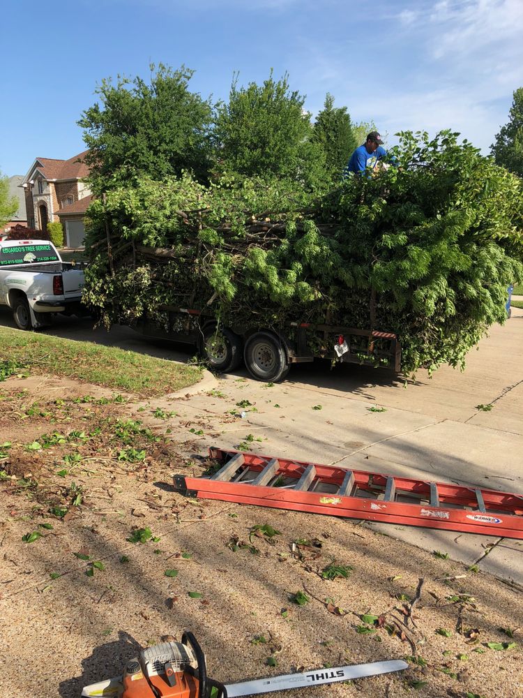 Eduardo’s Tree Service Tree Services Downtown, Dallas, TX Phone