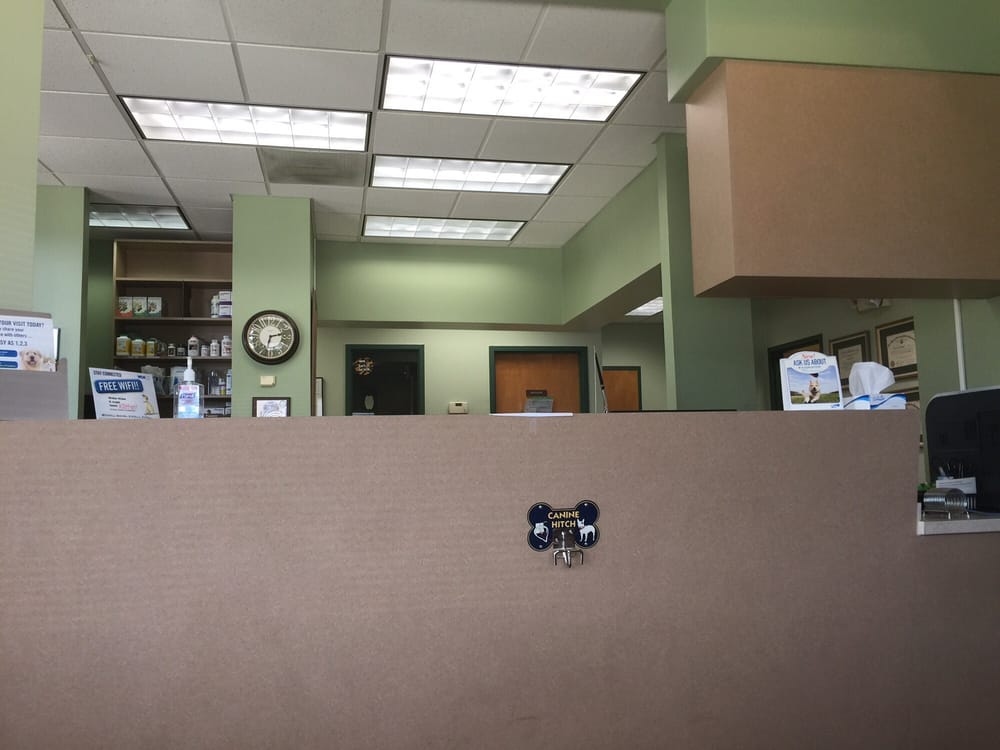 VCA Animal Medical Center of Pasadena 2019 All You Need to Know