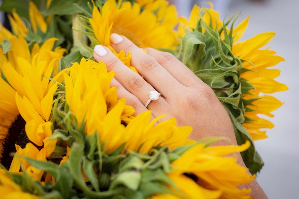 Ascot Diamonds Washington D.C. 100 Photos & 161 Reviews Jewelry