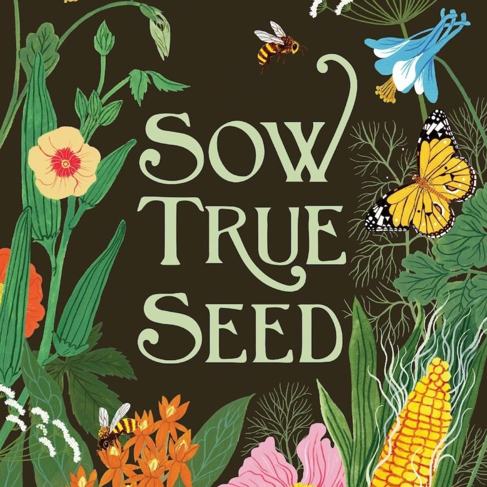 Sow True Seed