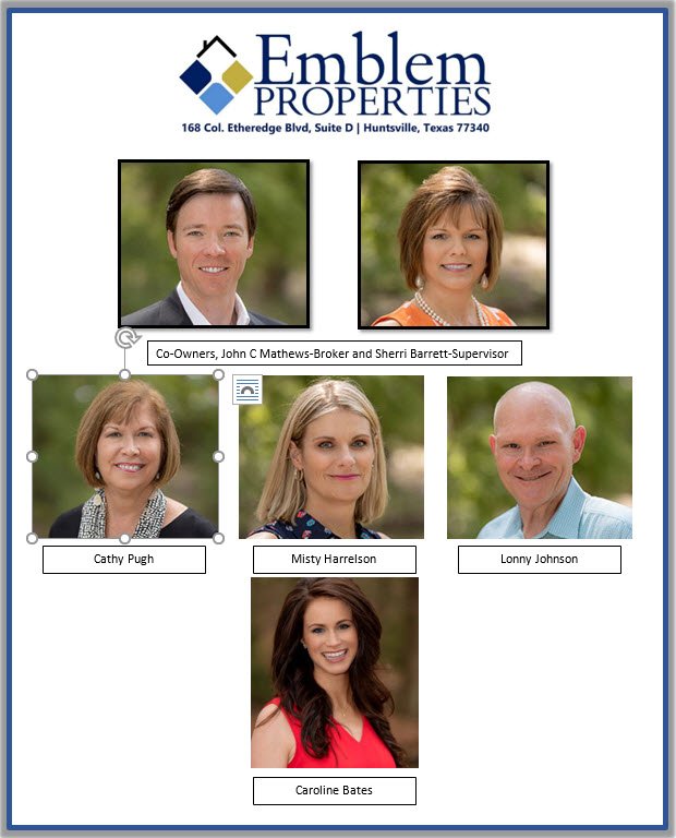 Emblem Properties