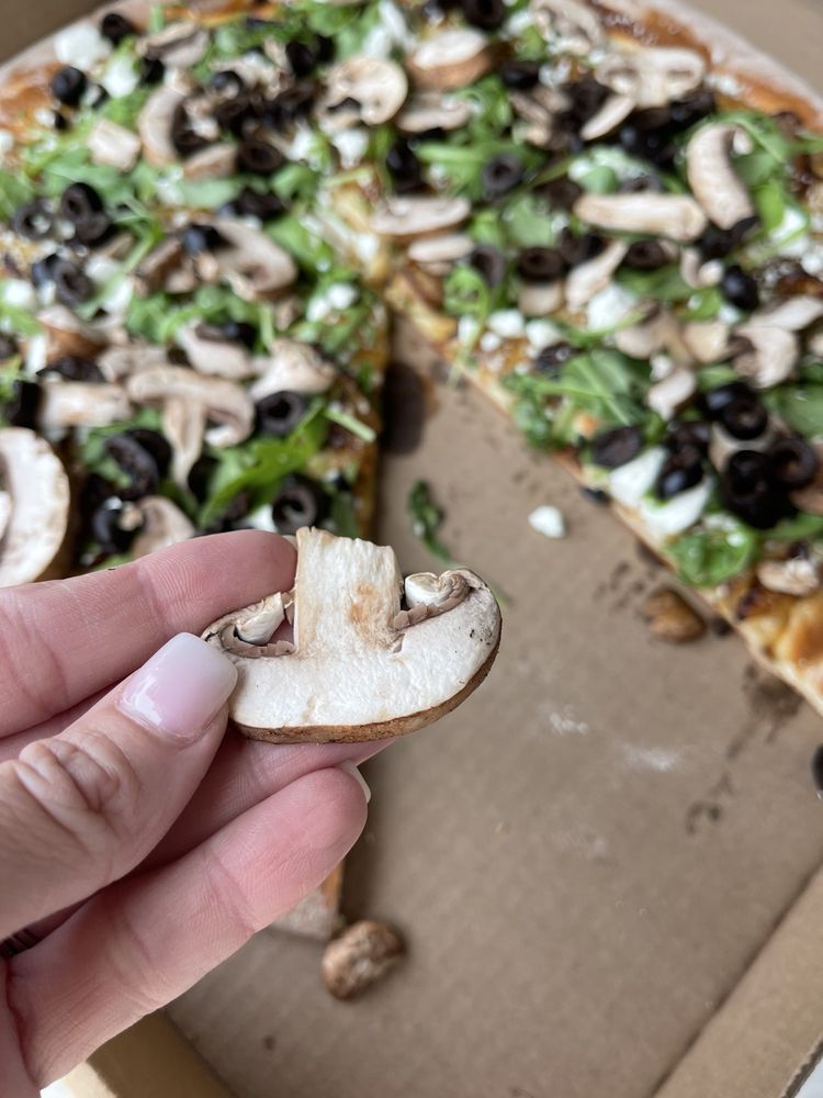 The Albatross of Sebring