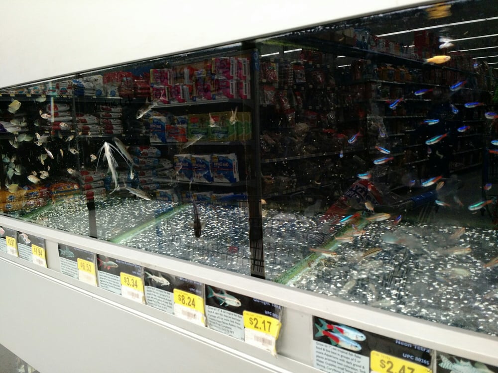 Walmart Supercenter Department Stores 8301 N Church Rd, Kansas City