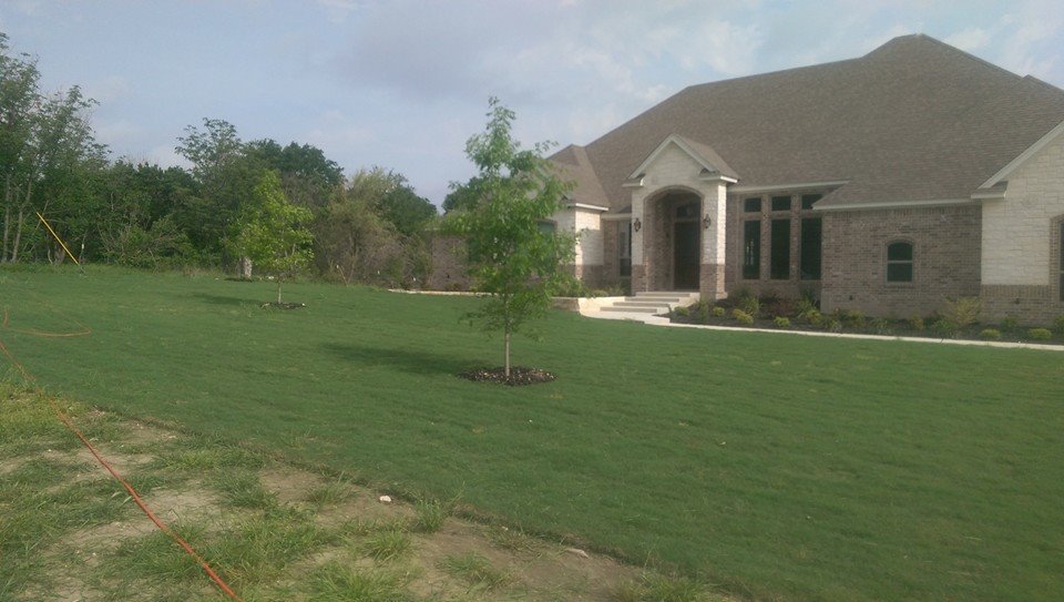 Trimmers Lawn Service
