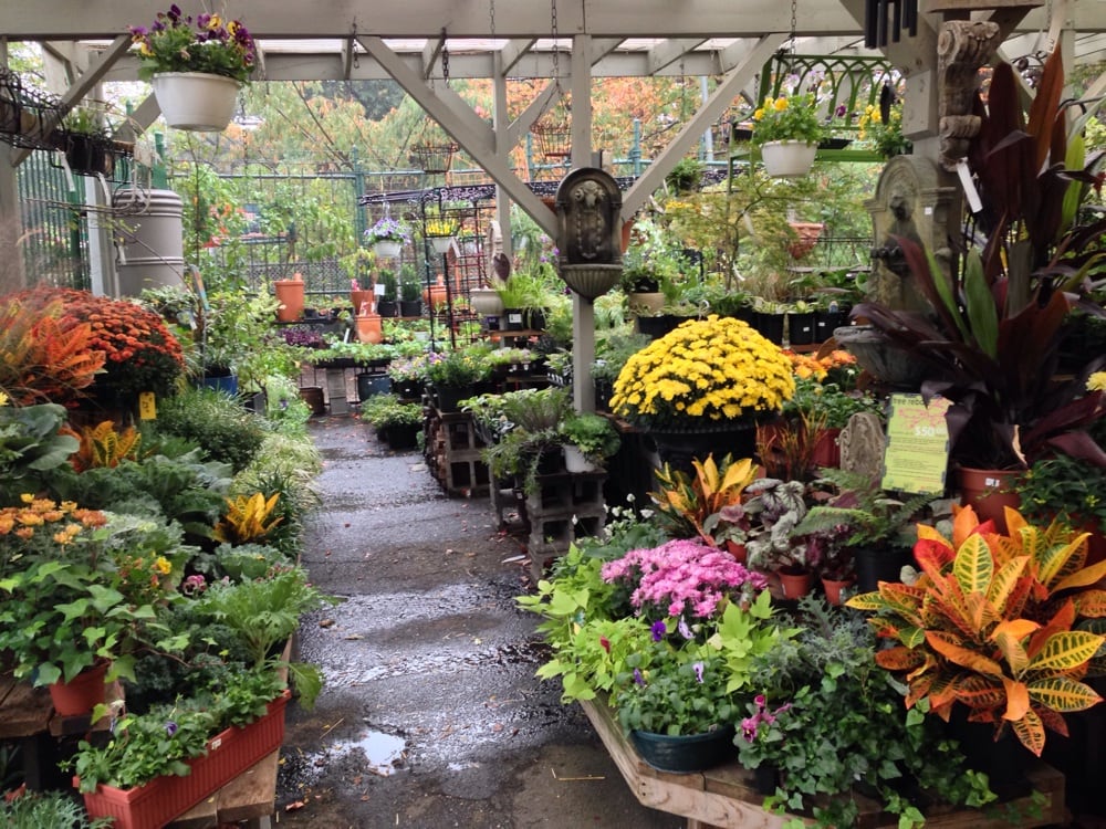 it s a rainy morning at ginkgo gardens yelp it s a rainy morning at ginkgo gardens yelp