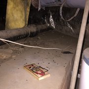 Surf City Termite Pest Control 17 Photos 23 Reviews Photo Of Surf City Termite Pest Control Huntington Beach Ca United States