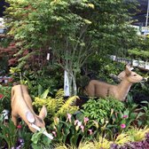 Payless Nursery San Jose Tyres2c Payless Hardware Rockery Nursery 105 Photos 78 Reviews