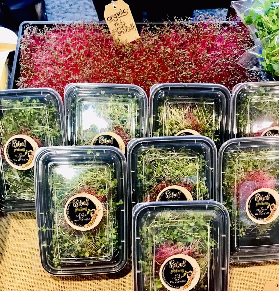 Rebel Greens