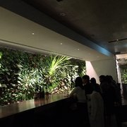 コスチューム ナショナル ウォール 青山店>