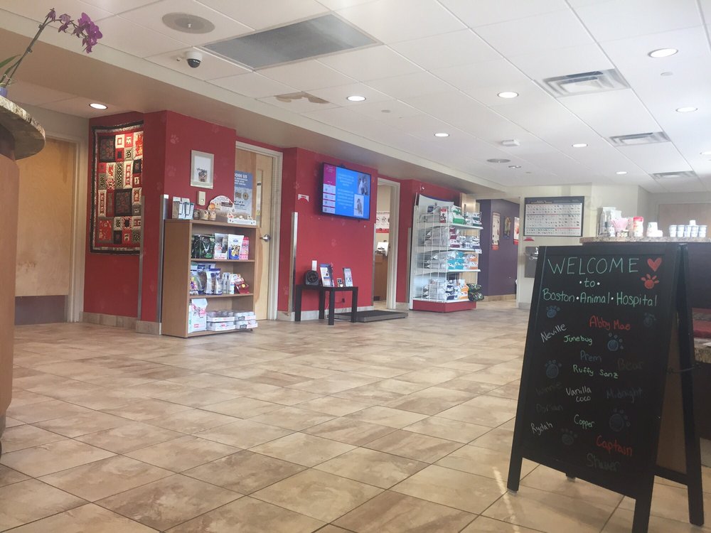 Boston Animal Hospital 18 Reviews Veterinarians 274 Southampton