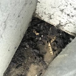 Crosswood Park Apartments - 16 Reviews - Apartments - 6801 San Tomas Dr, Citrus Heights, CA ...