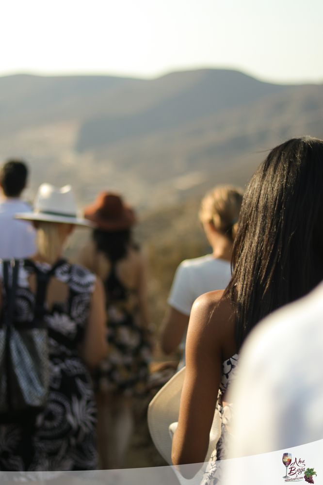 Aha Baja Wine Tours