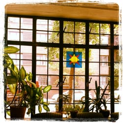 John W Wolf, DDS - New York, NY, United States