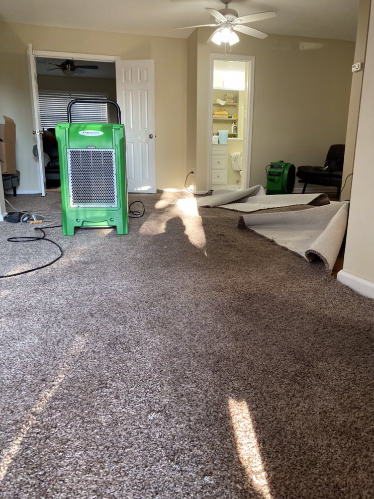 Flood Pros