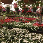 Drought Resistant Nursery Nurseries Gardening 7421 Cypress Ln Photo Of Drought Resistant Nursery Carmel Ca United States