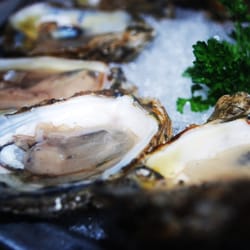 The Oceanaire Seafood Room 240 Photos 262 Reviews Photo Of The Oceanaire Seafood Room Baltimore Md United States Oysters