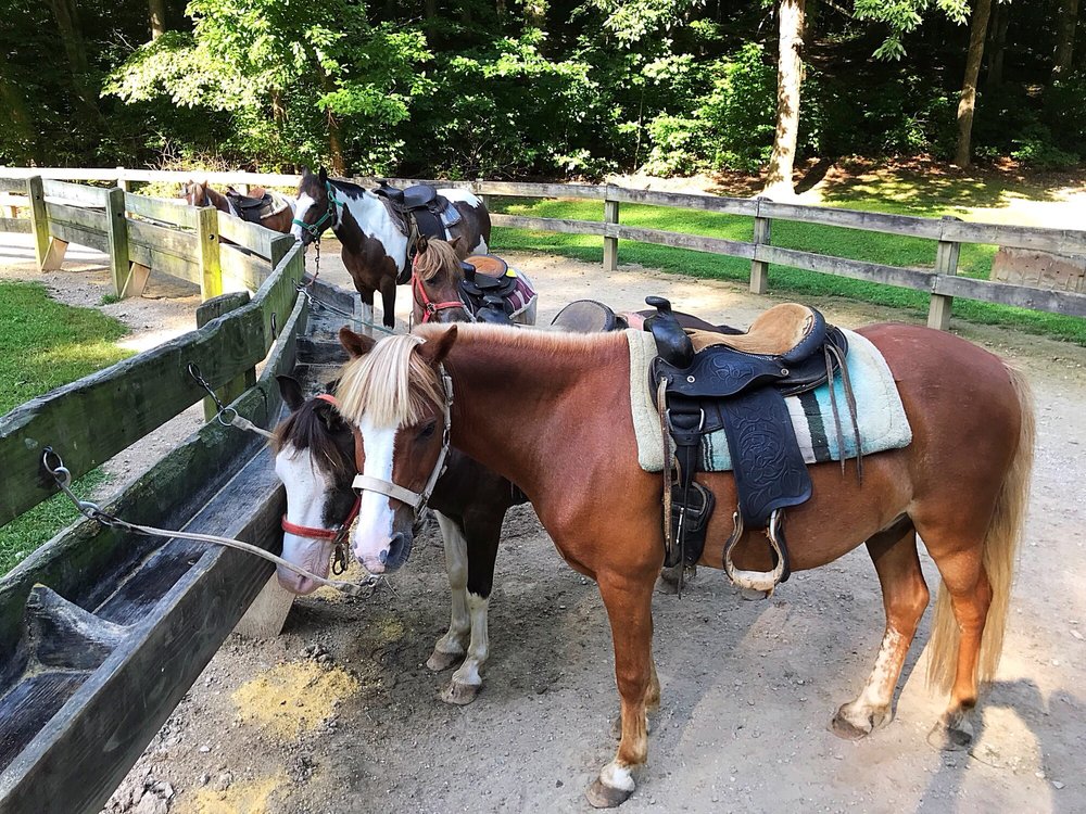 Brown County Saddle Barn Horseback Riding 2400 S Brown Co State
