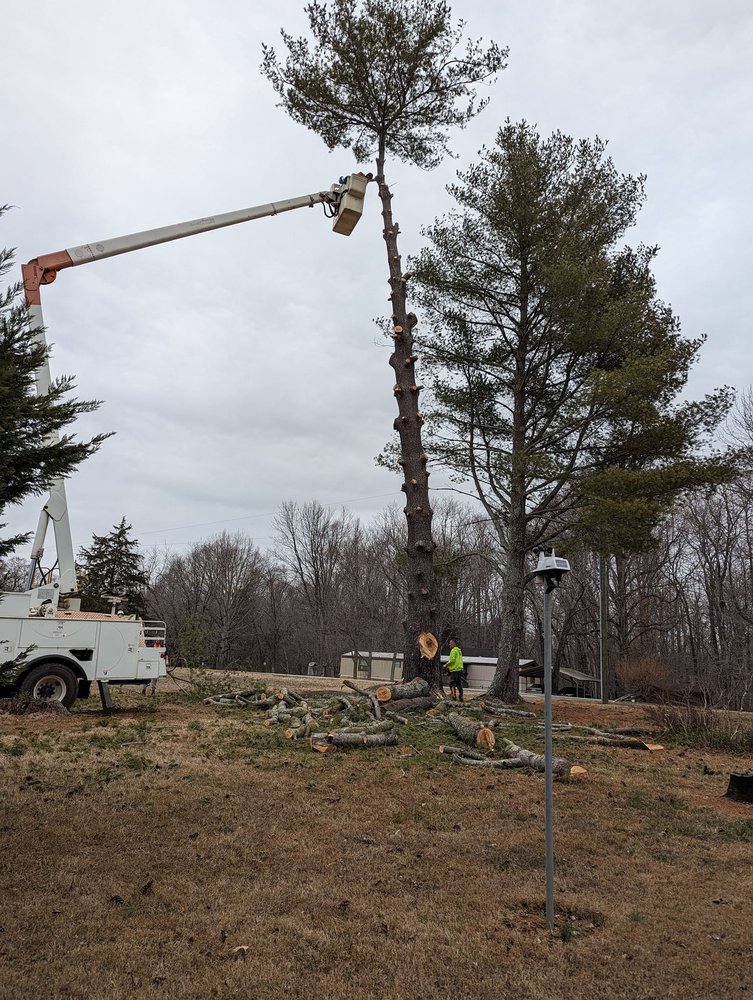 Woody's Tree Service