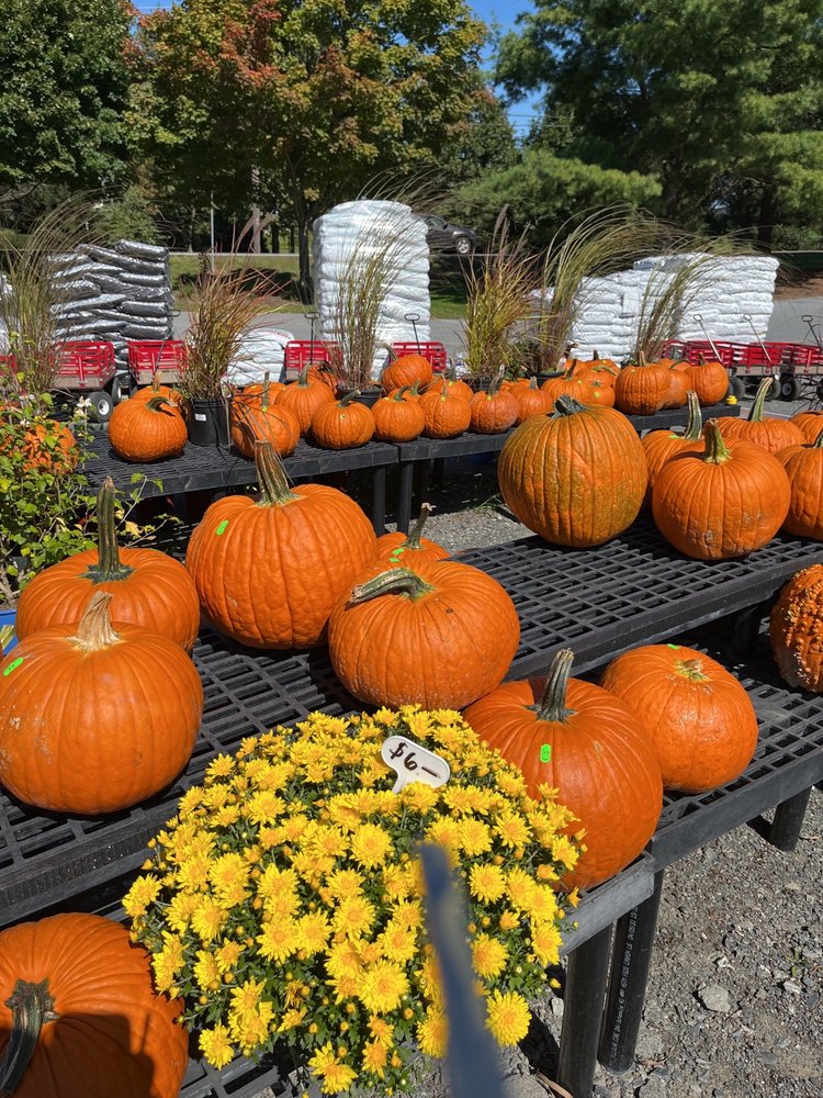 Cherry Hill Orchards Outlet