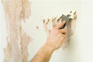 image of business A Job Well Done, LLC